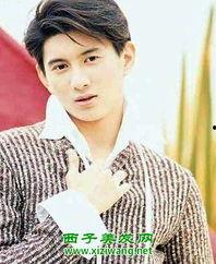 吴奇隆个人 资料,从偶像到实力派，华语乐坛的常青树