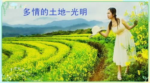 多情的土地创作背景,探寻民族情感与土地情怀的交融轨迹