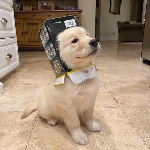 宁鸣背景,从平凡走向卓越的奋斗历程