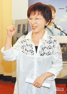 洪秀柱年轻照片,从青涩少女到政治明星的蜕变之路